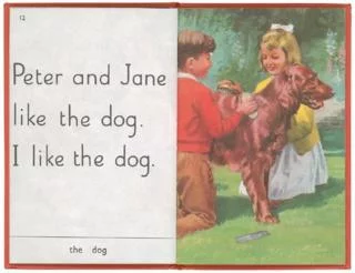 _81449334_ladybirdjane.webp