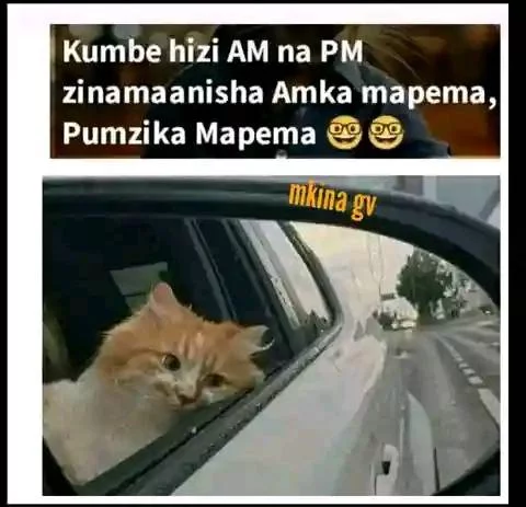 AM PM.webp