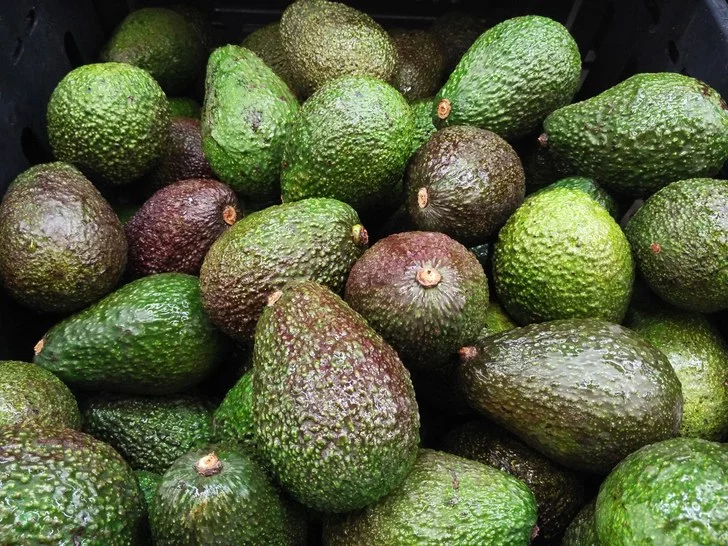 avocado.webp