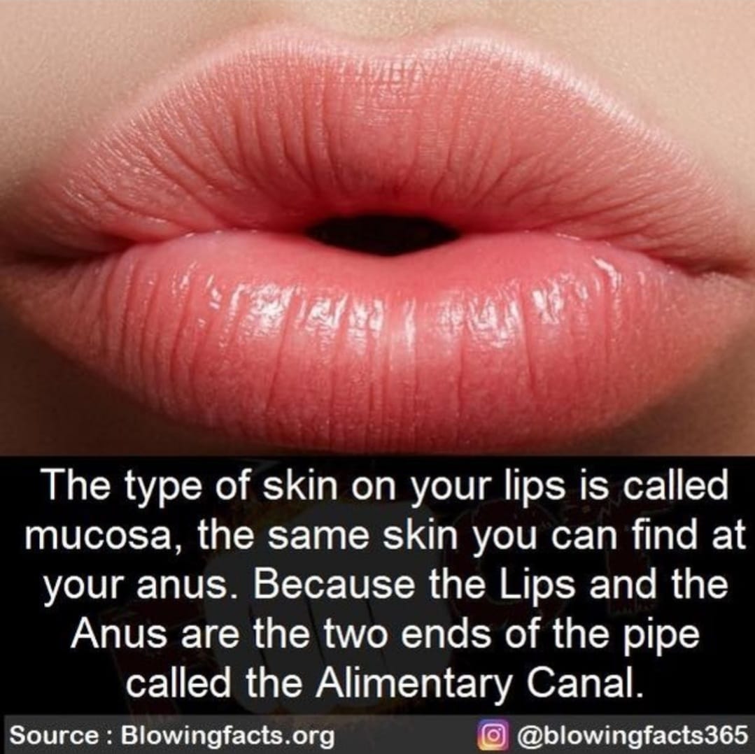 c3afacb6b23b47b1ac86a74c684fef7d.jpg