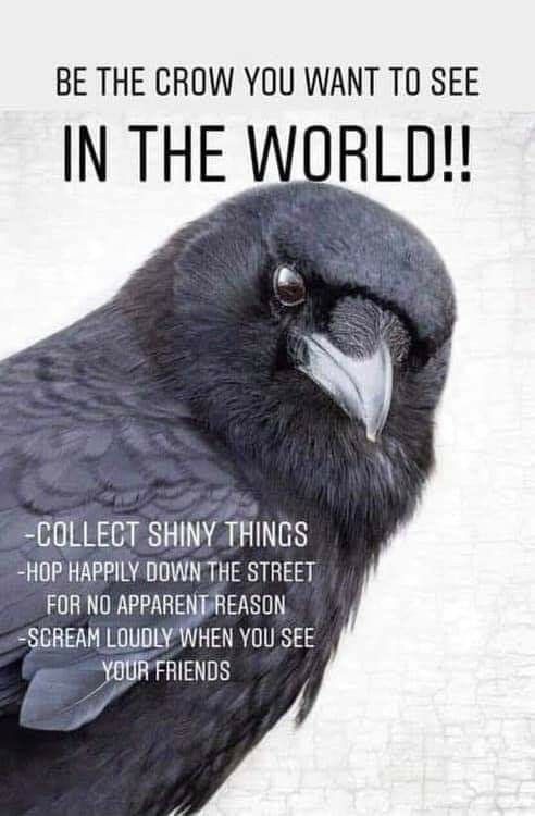 c4b0a85a274c464cf95a1d34d7b51036.jpg
