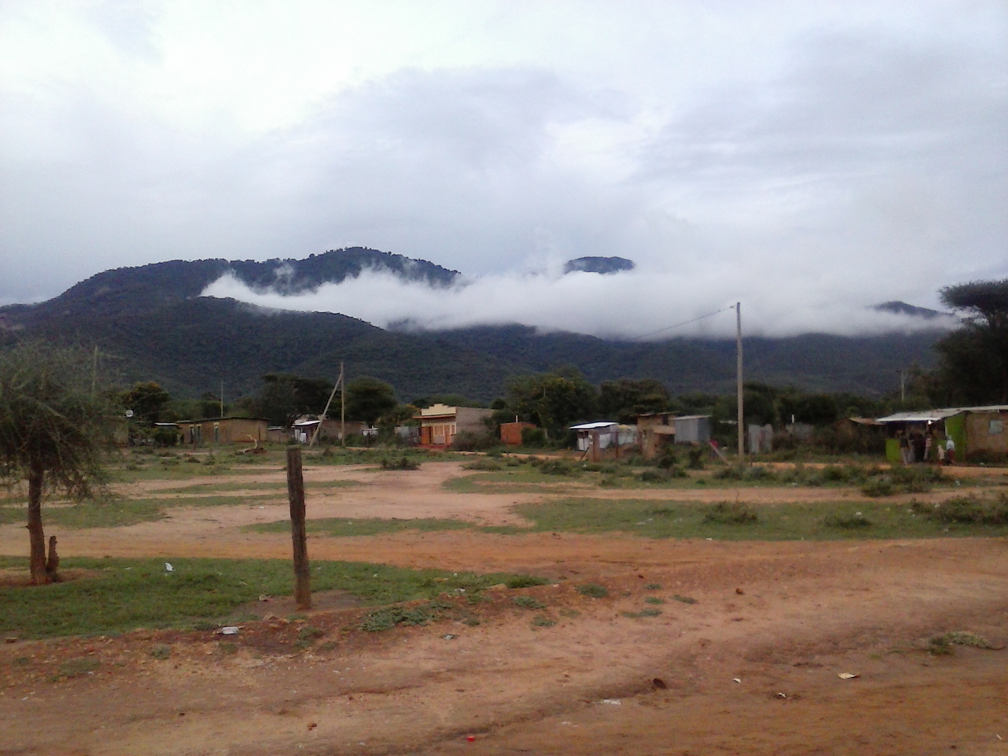CAM00509.jpg