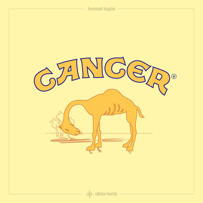 Camel-5d25b16a557f5__700.jpg