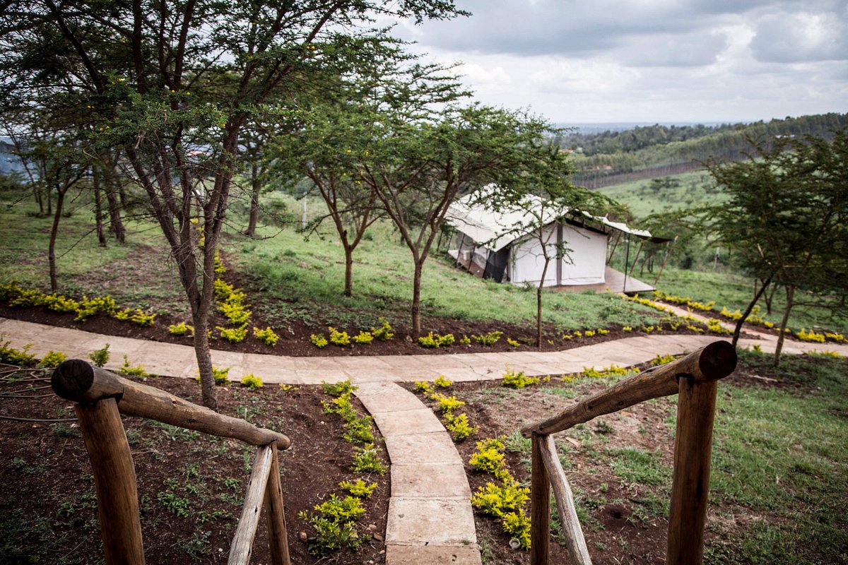 chemi-chemi-tented-camp 8.jpg
