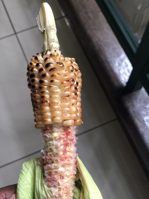 choma.jpg
