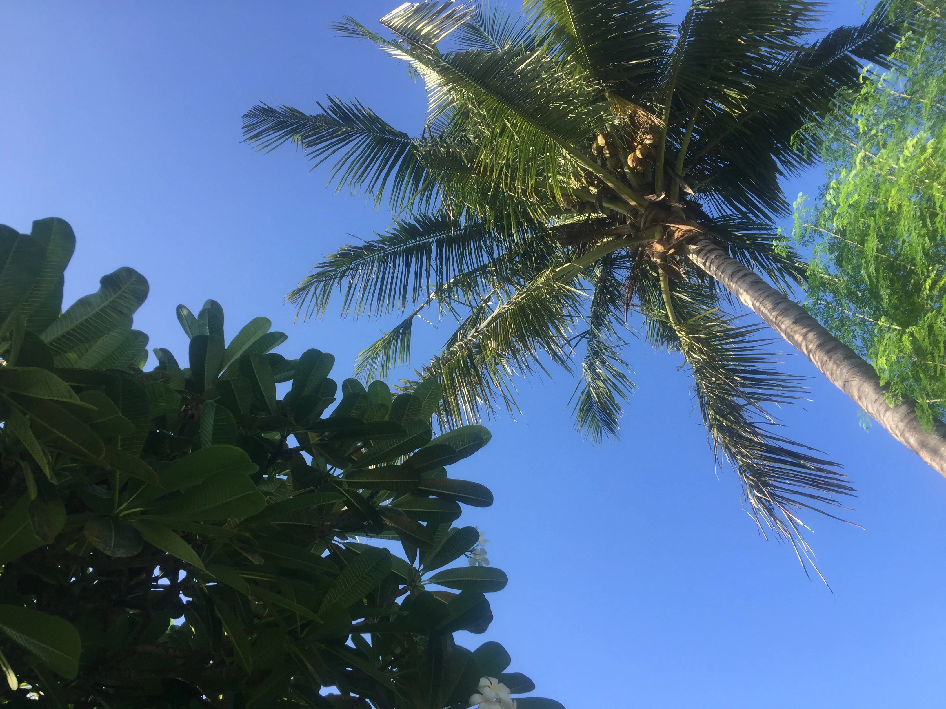 D8E7EFD1-25D5-41B4-B101-35198D1E2037.webp