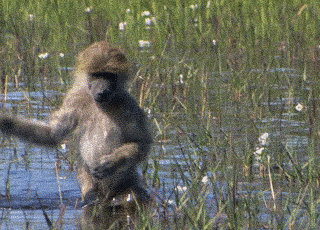 e4053cd100a79c324f08f0d517578f57.gif