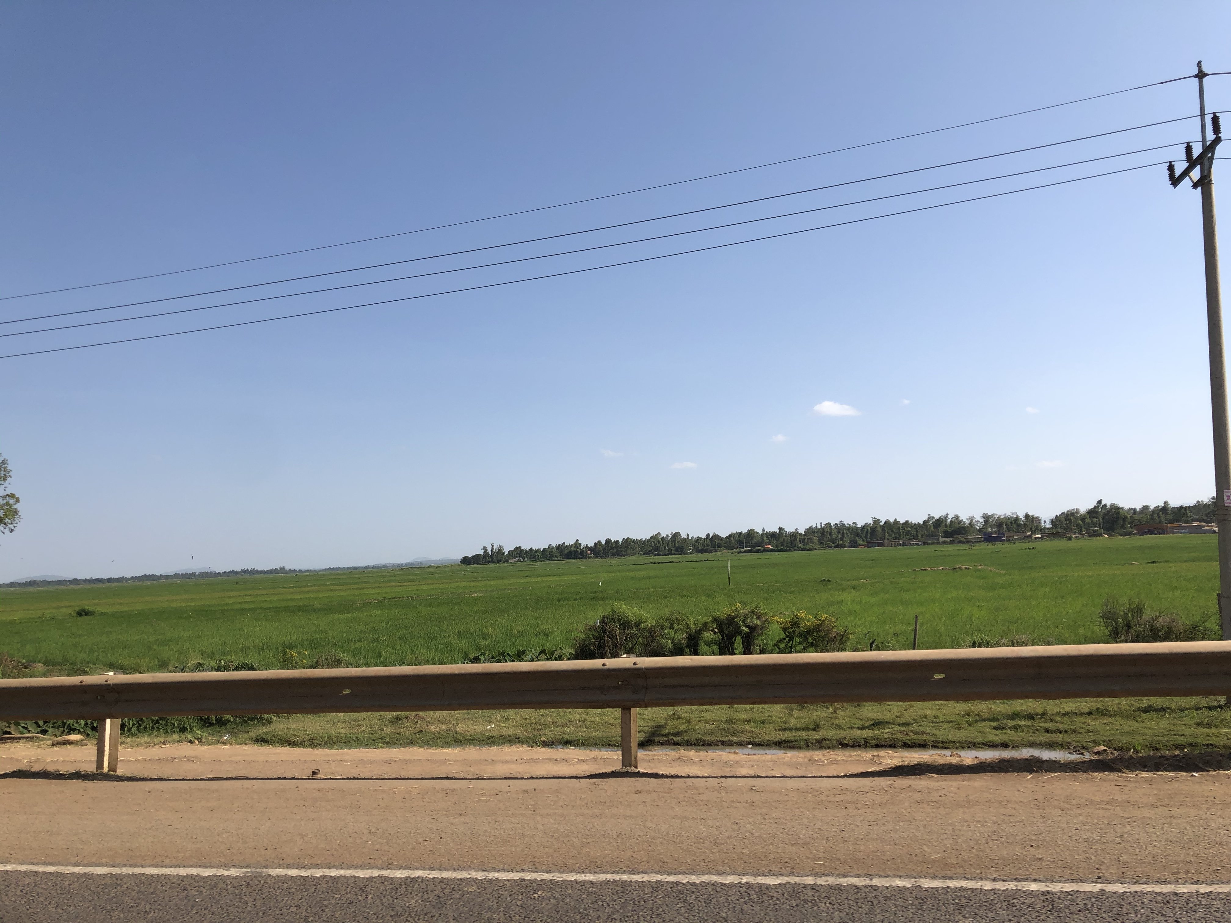 EA647A30-72CF-419C-A185-0B646E4CE6F8.jpeg