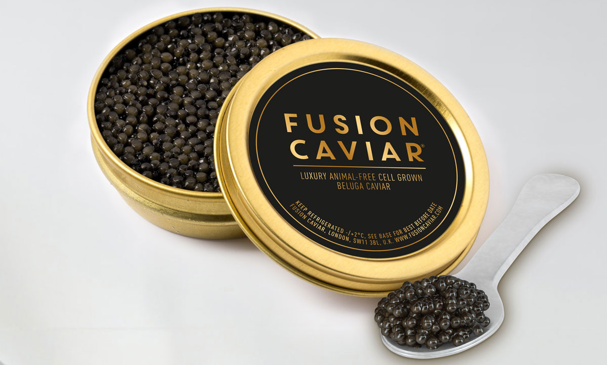 EC_Fusion_Tin.jpg