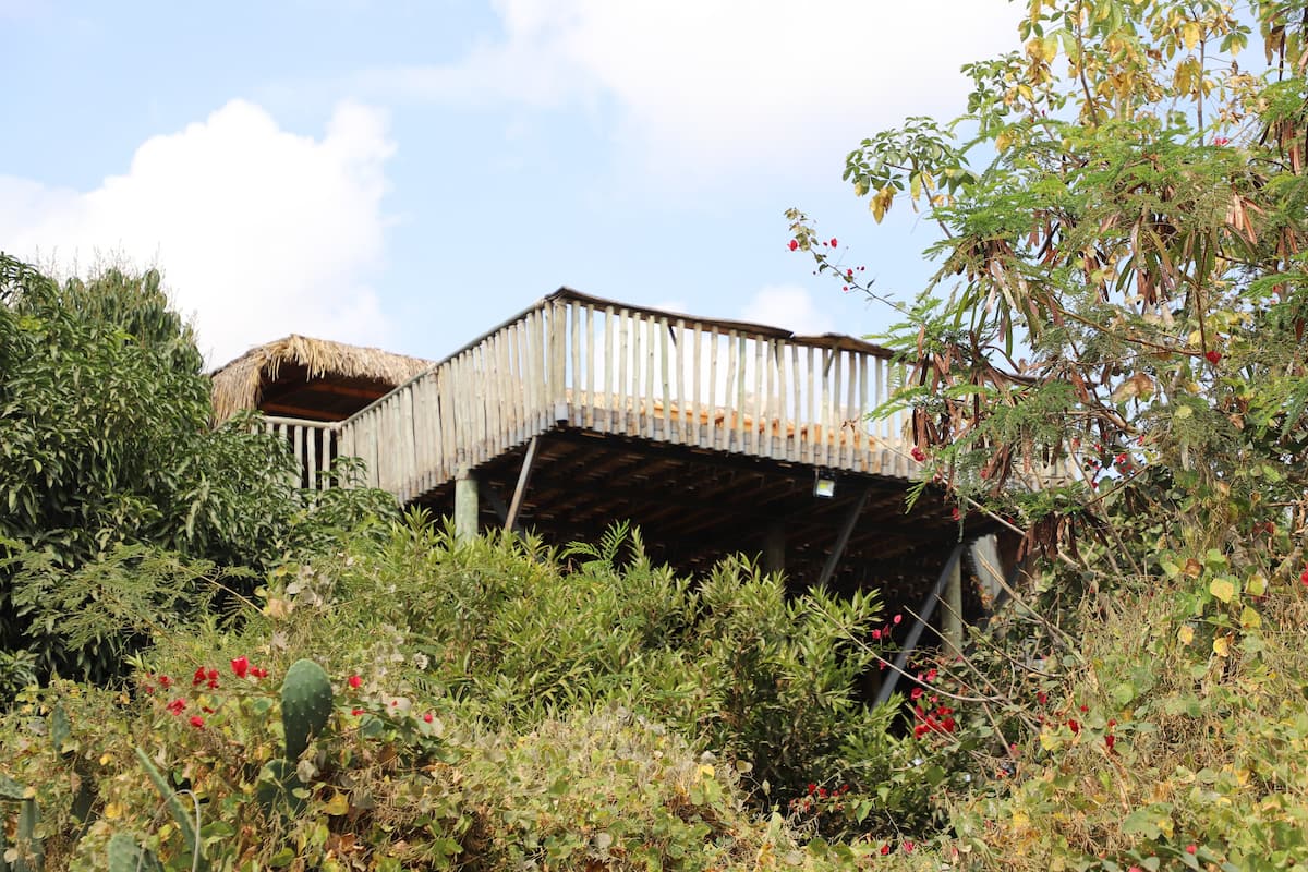 Eco Treehouse 10.jpg
