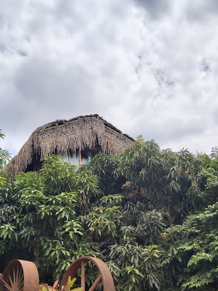 Eco Treehouse 11.jpg