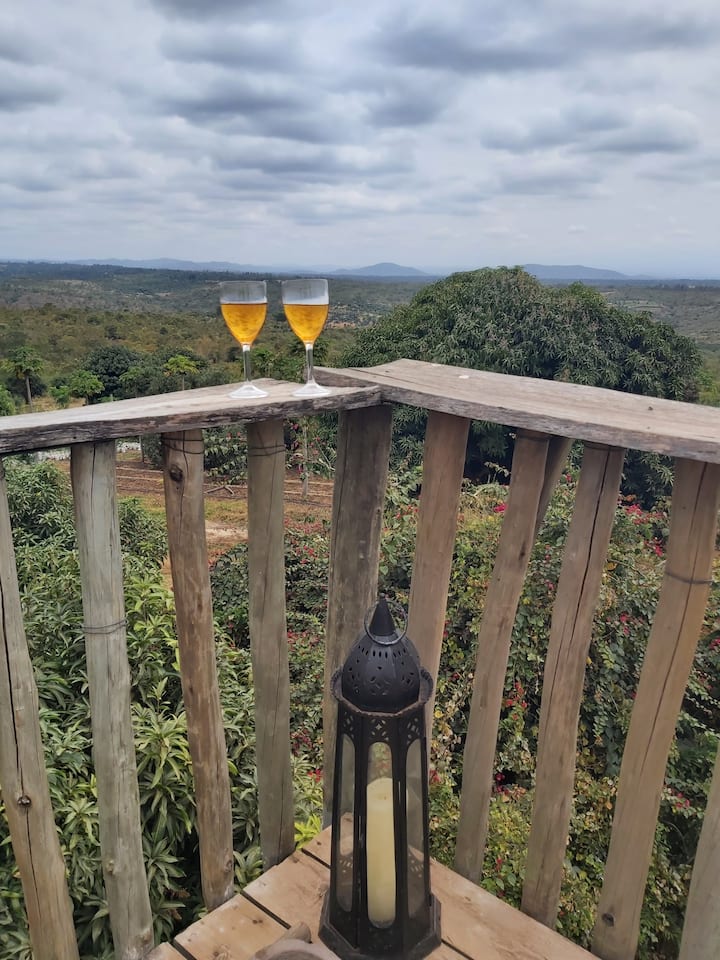 Eco Treehouse 8.jpg