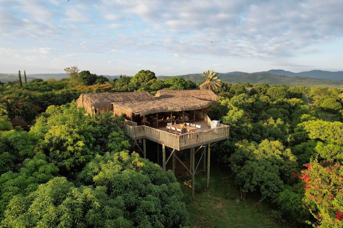 Eco Treehouse.jpg