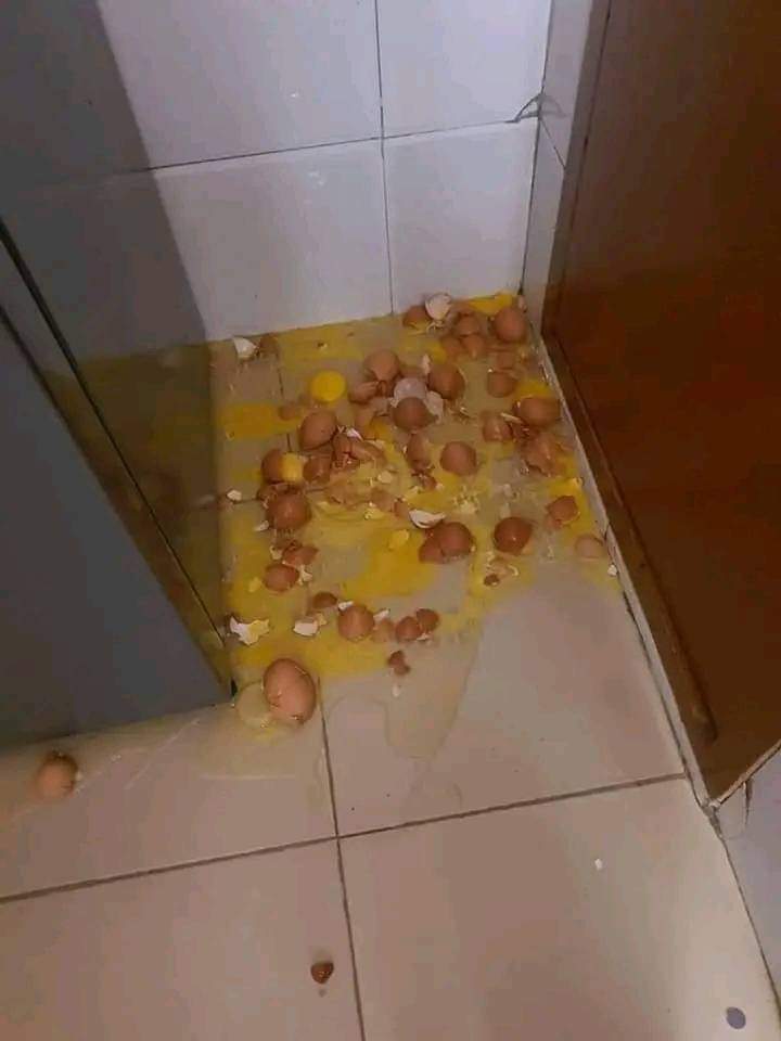 eggs.jpg