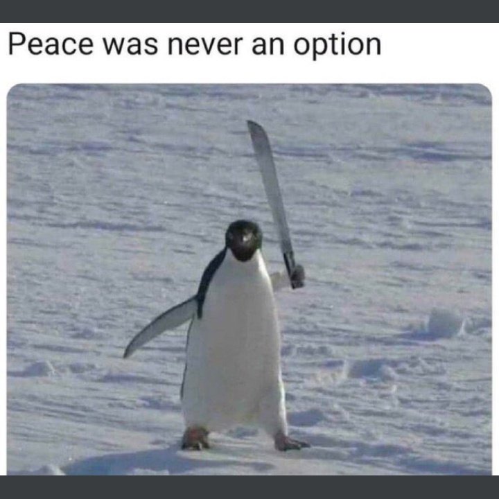 Es5VXPSWMAAibDq.jpeg