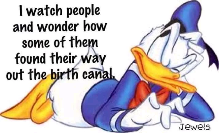 FB_IMG_15734704705914860.webp