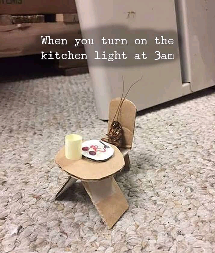 FB_IMG_15853953283668701.jpg