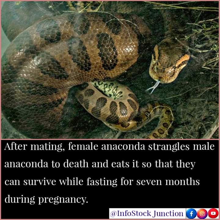 FB_IMG_1591986573600.jpg