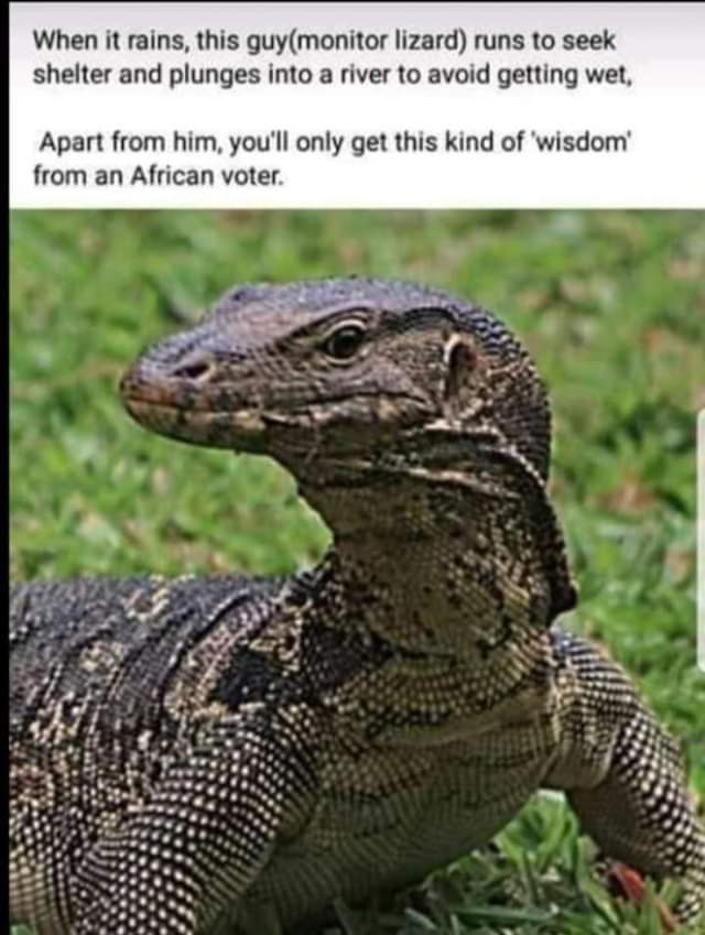 FB_IMG_1593234542304.jpg
