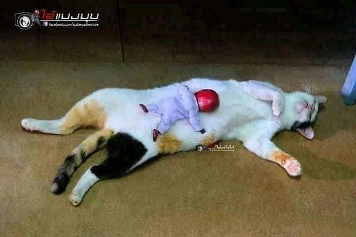 FB_IMG_1599401480405.jpg