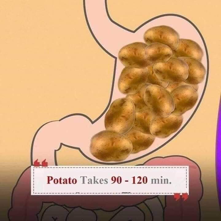 FB_IMG_1599564290388.jpg