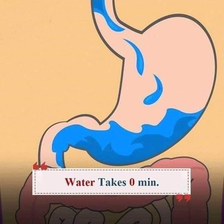 FB_IMG_1599564292774.jpg