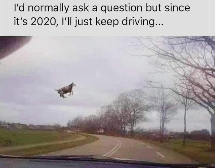 FB_IMG_1600793526566.jpg