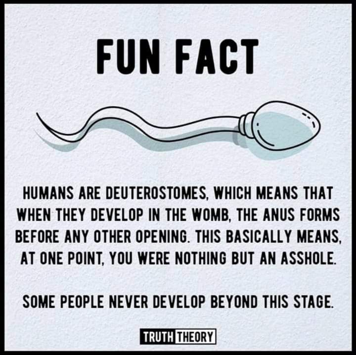 FB_IMG_1605499687886.jpg
