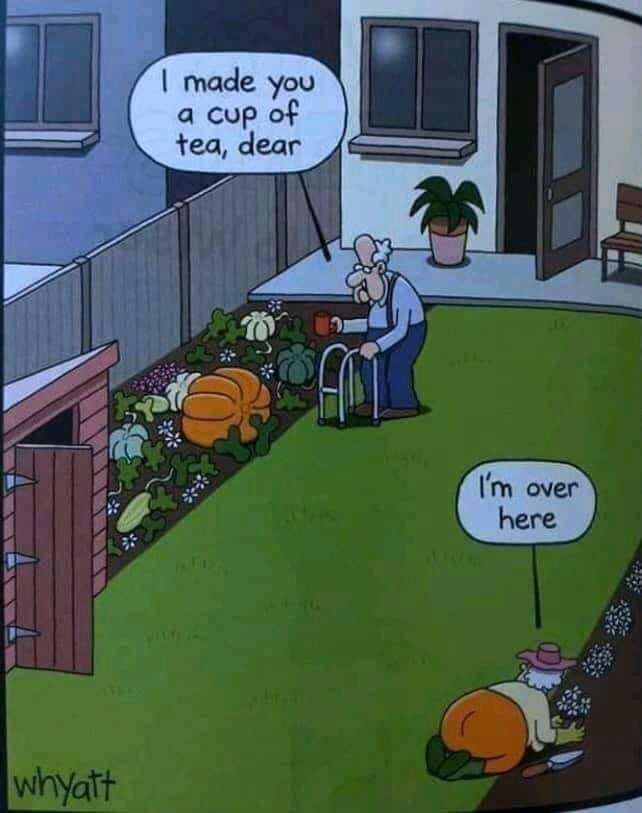 FB_IMG_16055569405220860.jpg