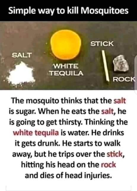 FB_IMG_1608000894121.jpg