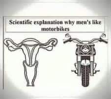 FB_IMG_1618144752043.jpg