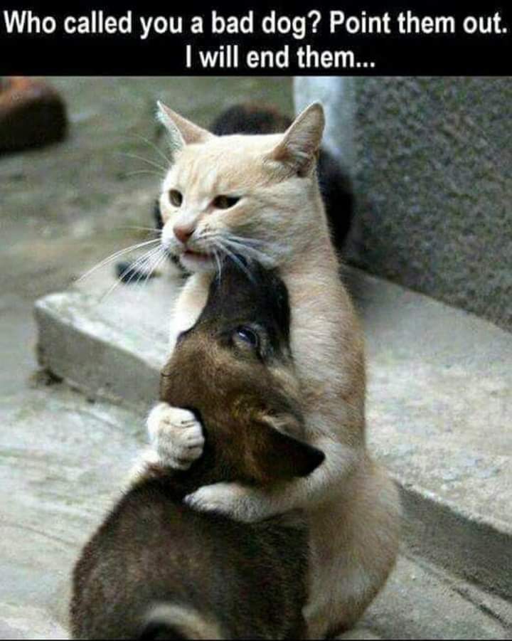 FB_IMG_1622528165641.jpg