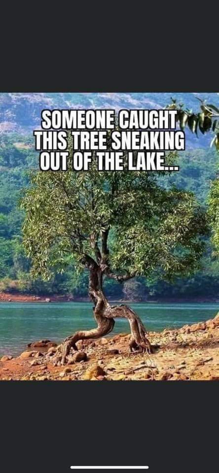 FB_IMG_1623142944154.jpg
