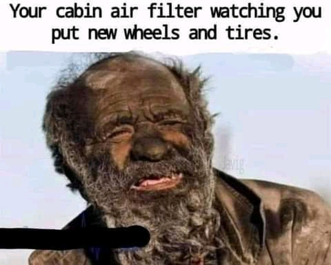FB_IMG_16274915820191102.jpg