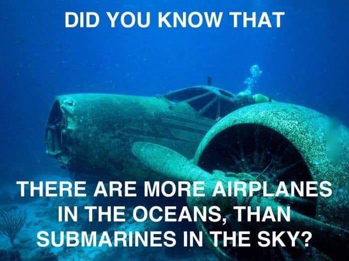 FB_IMG_1629881799509.jpg