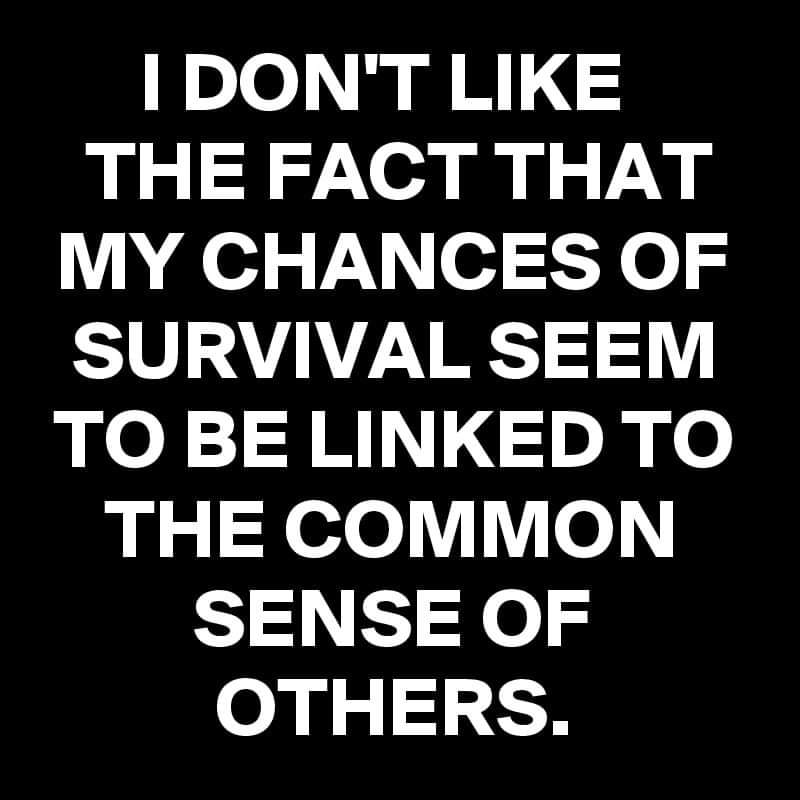 FB_IMG_1630770150324.jpg
