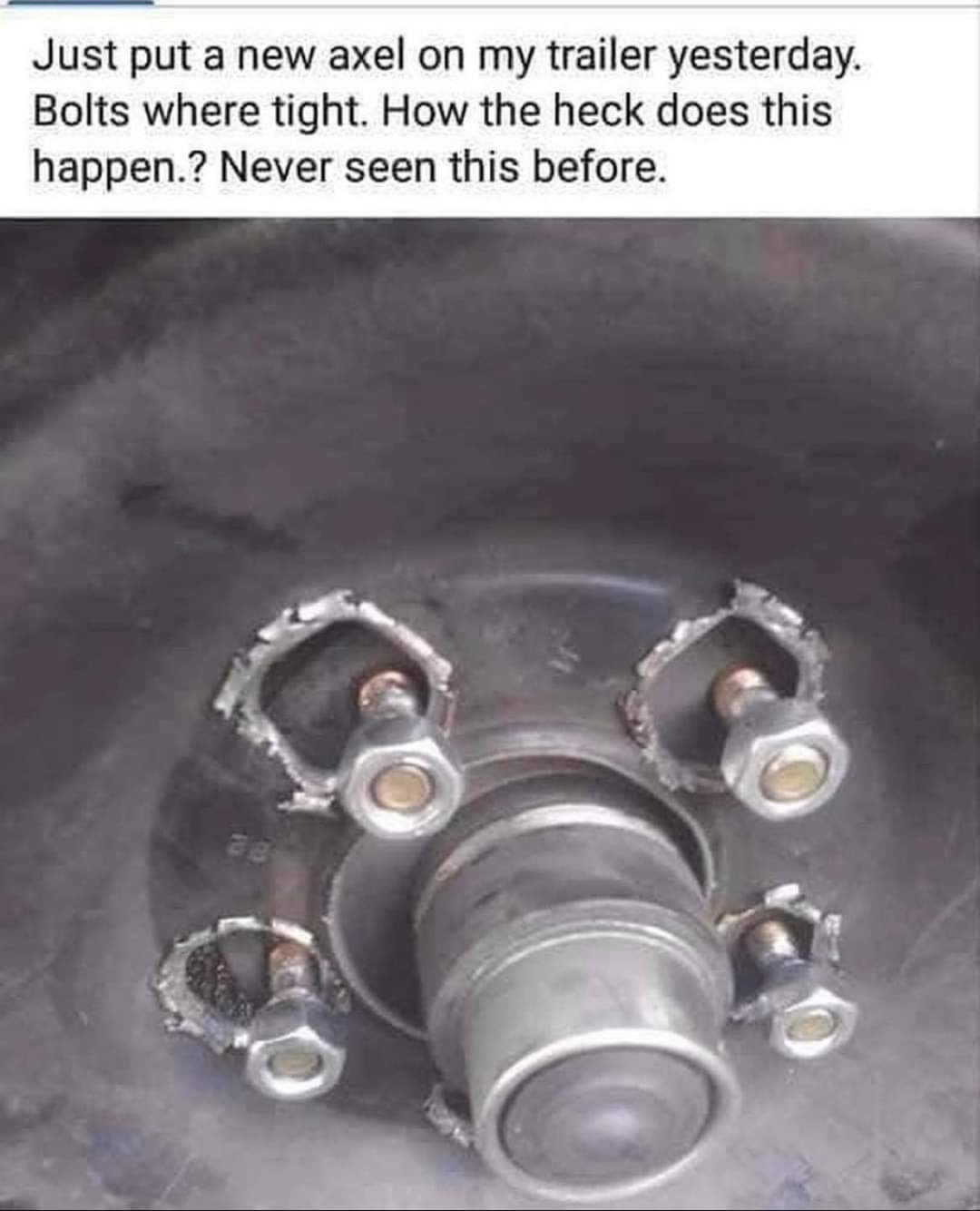 FB_IMG_1631633946816.jpg