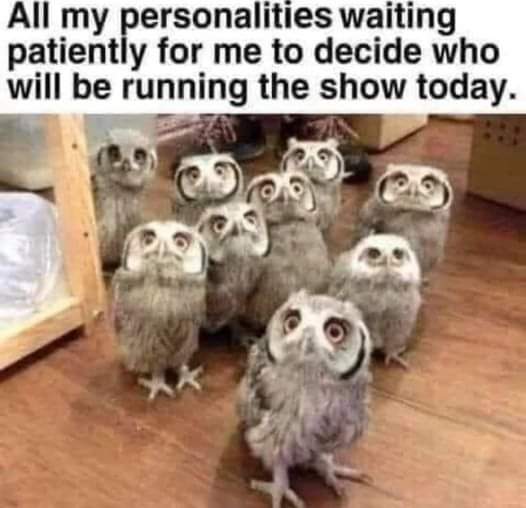FB_IMG_1632732283686.jpg