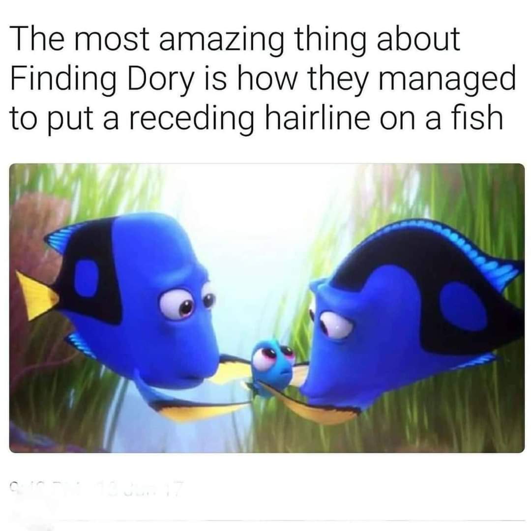 FB_IMG_1634022224284.jpg