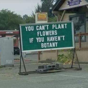 FB_IMG_1634578462021.jpg