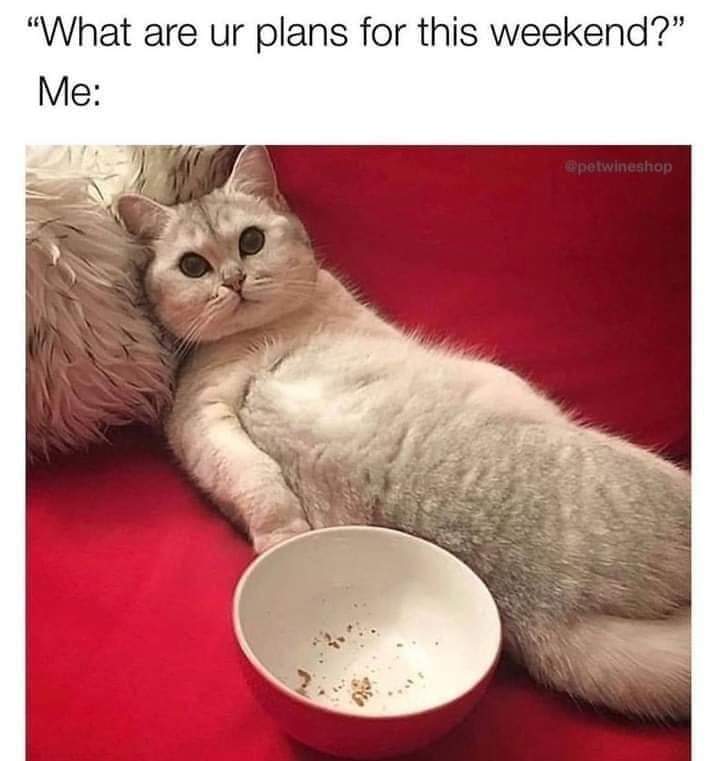 FB_IMG_1640336776844.jpg