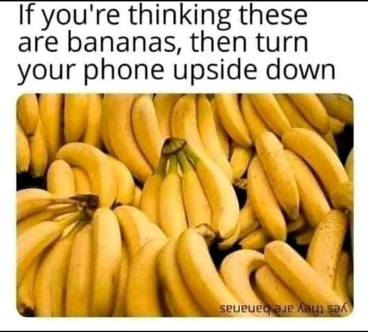 FB_IMG_16455378776547199.jpg