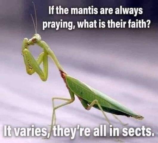 FB_IMG_1650351939271.jpg