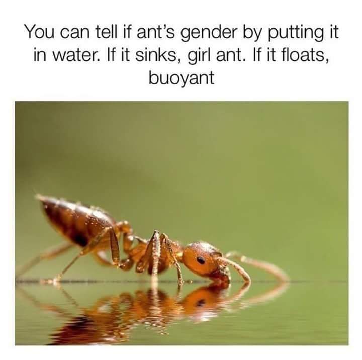 FB_IMG_1651213408562.jpg