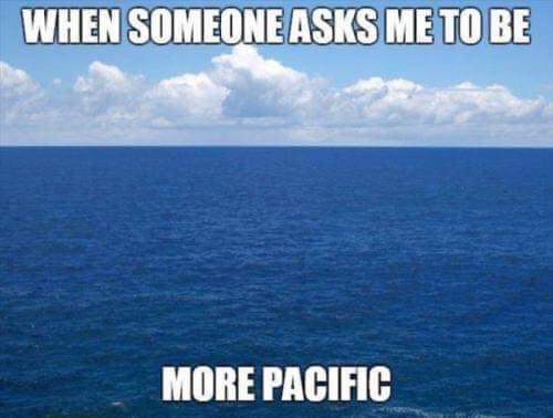 FB_IMG_1653976491074.jpg