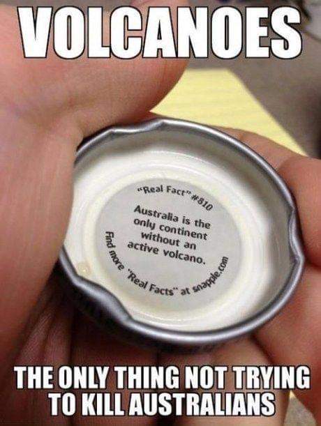 FB_IMG_1659845646161.jpg