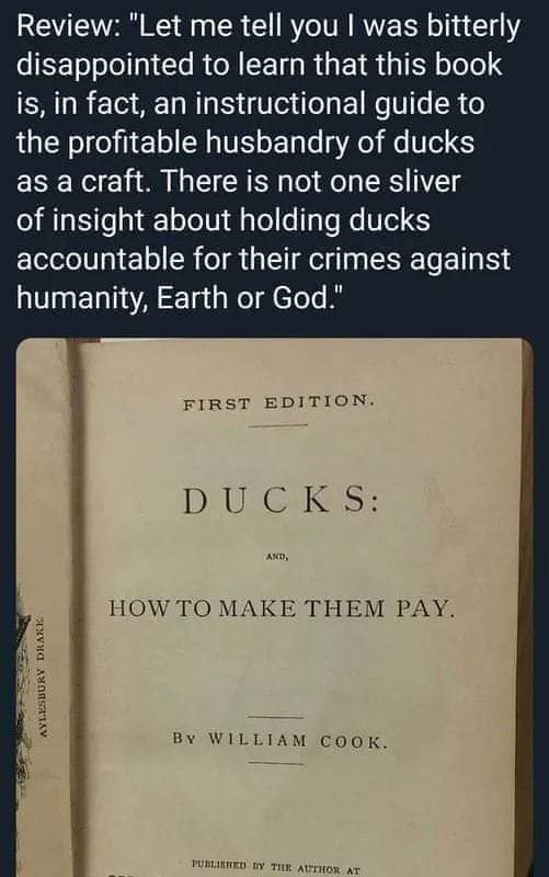FB_IMG_1675387884270.jpg