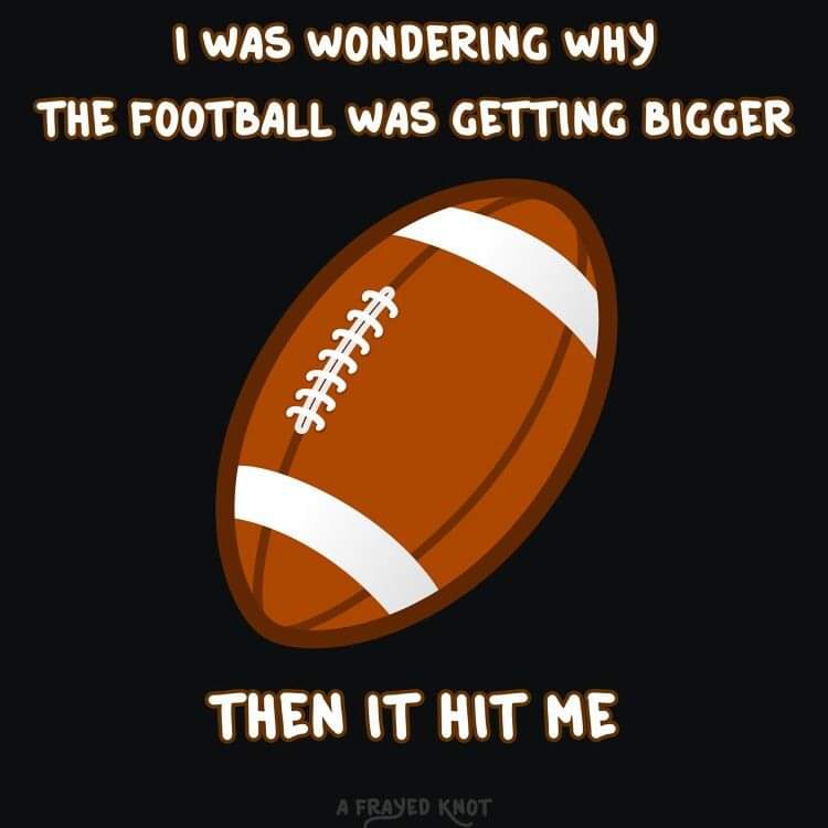 FB_IMG_1676261693785.jpg