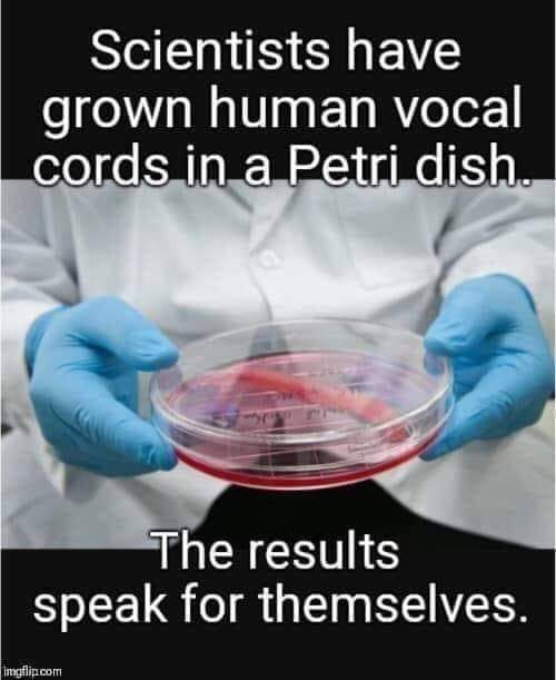 FB_IMG_1677845587945.jpg