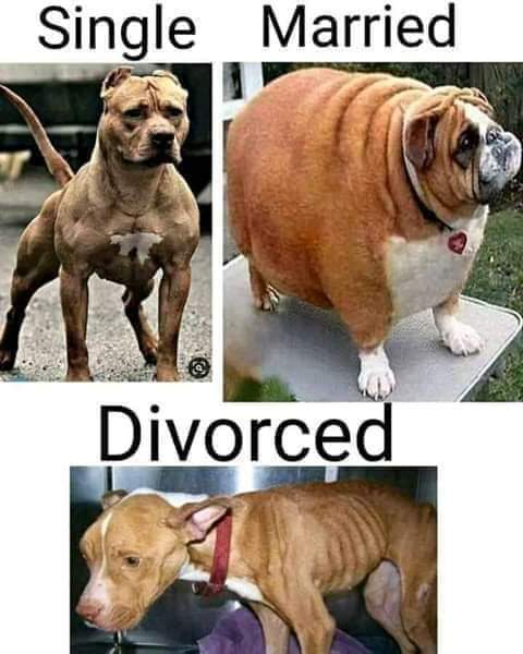 FB_IMG_1701192649003.jpg